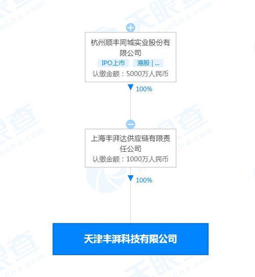 從軟件開發到技術服務 構建數字時代的核心引擎